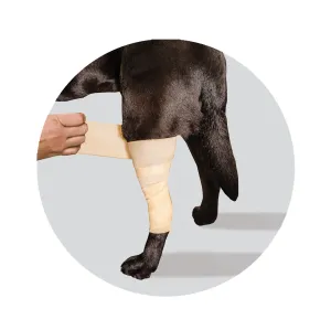 Cold Compression Bandage for injuries