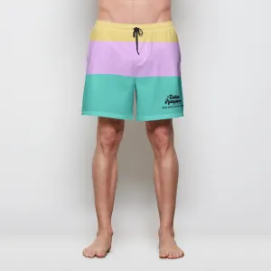 EHP Stripe Swim Trunks w/Lining