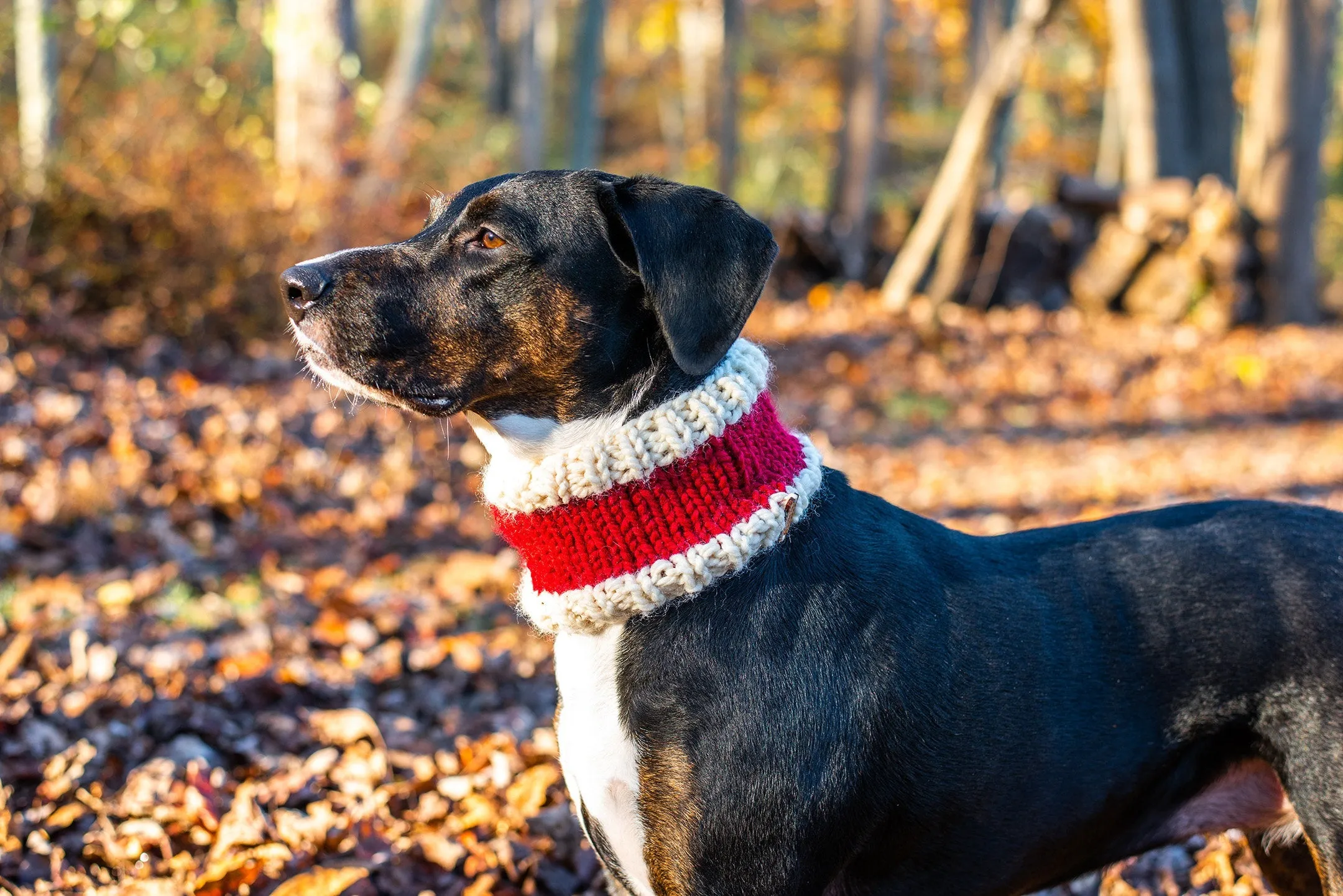 Matching Santa Beanie and Cowl Set