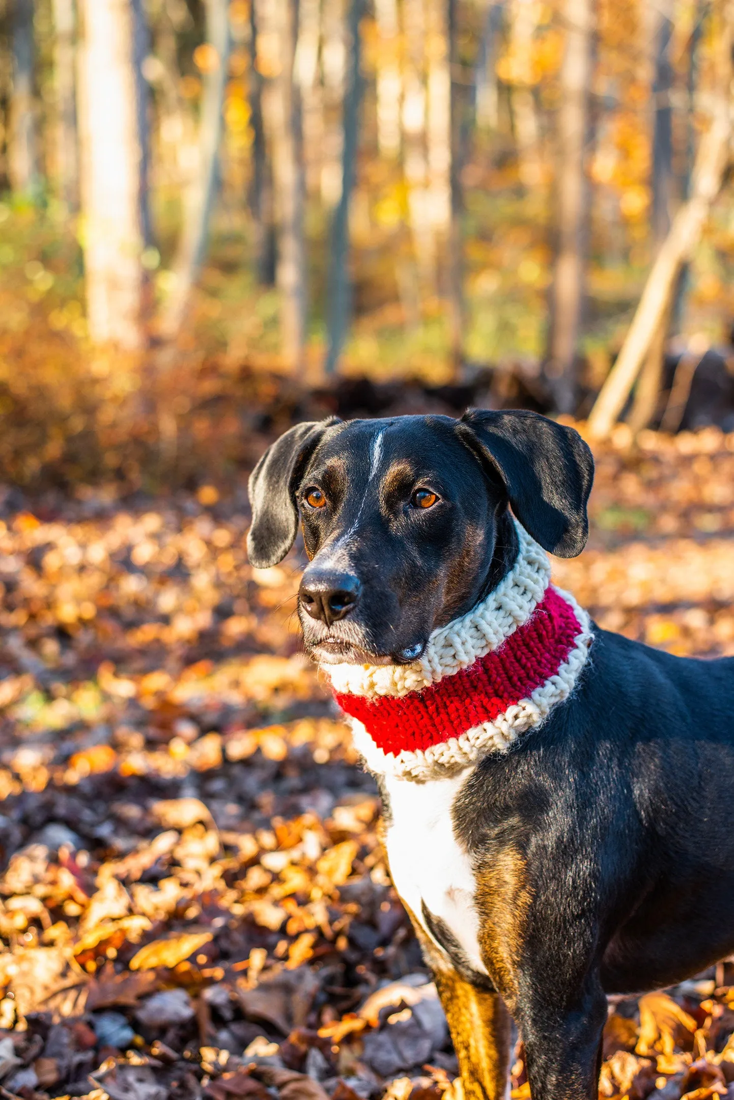 Matching Santa Beanie and Cowl Set